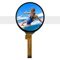 Module d'affichage LCD TFT rond de 1,6 pouce haute résolution pour montre connectée