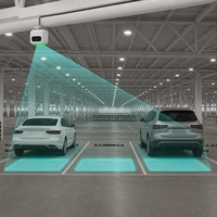 Sistema de Detección de Estacionamiento por Video EBO-TECH de Bajo Costo Total, Cámaras de Guía de 4MP, Caja VLM AI para 3/6 Vehículos, Cableado en Cadena