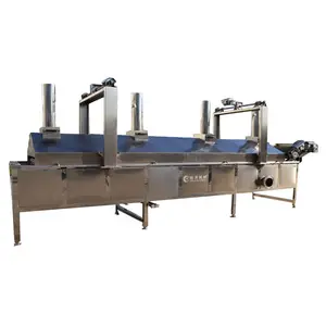 Fryer Continue Deep Frying Machine