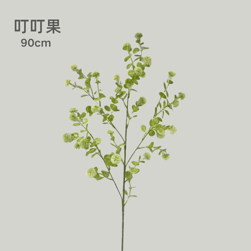 Fruta dingding verde claro