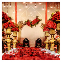 Grande Tente de Mariage Extérieure pour 200, 300, 500 ou 1000 Personnes