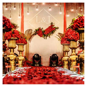 Carpa Grande para Bodas al Aire Libre para 200, 300, 500 o 1000 Personas - Product Image 4