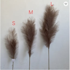 Sueño suave Venta caliente 2023 Pluma artificial Flores DE BODA artificiales Faux Pampas Grass - Product Image 4