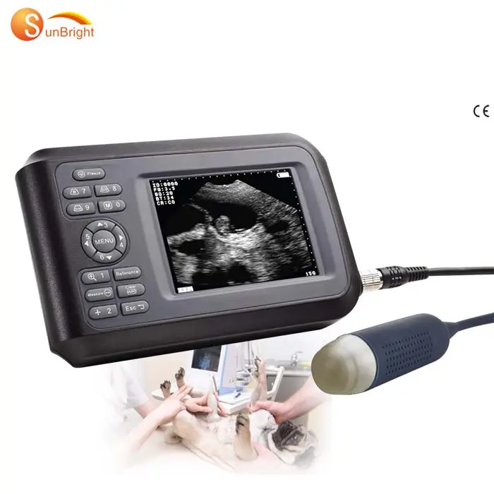 Instruments à ultrasons médicaux pour animaux de compagnie, scanner à ultrasons de grossesse pour porcs vétérinaires