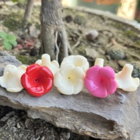 YIREPIN Nouvelle Collection Breloques Hawaïennes Fleur de Puakenikeni en Résine, Poudre de Corail, Perles Ivoire Puakenikeni pour la Confection de Lei de Sac à Main / Lei de Voiture