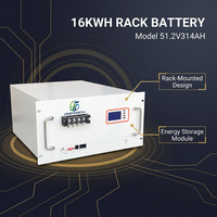 Batterie LiFePO4 intelligente montée en rack 51.2V 314Ah 16.1kWh avec BMS LCD CAN/RS485, empilable et compatible parallèle, 6000+ cycles, 10-20kW