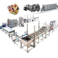 Industriële productielijn voor het maken van gevriesdroogde fruitchips, inclusief fruitwasser, -schiller, -ontpitter, -snijmachine en fruitverwerkingsproductie.