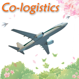 Саудовская Аравия DDP воздушная служба доставки от двери до двери, Китайский агент доставки в Джедду/Даммам - Product Image 2