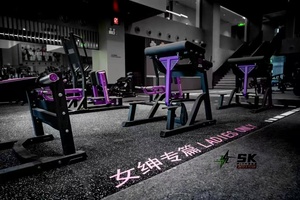 SK- Ensemble d'équipement de musculation pour femmes : Machine à Hip Thrust, Presse à jambes, Entraîneur de fessiers, Entraînement de force, Acier 3.0mm pour salle de sport commerciale - Product Image 2