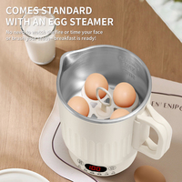 Bouilloire Électrique Pliable Portable à Affichage Numérique 1000ML 600W, Vente Directe Usine, pour Cuisine et Maison, avec Support pour Cuiseur à Œufs