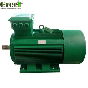 Hot 20kW Low Speed Permanent Magnet Generator Free Power Generator Three Phase alternators for sale