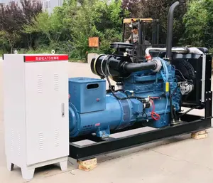 Ultra quiet diesel generator 160kw all copper motor ultra low price