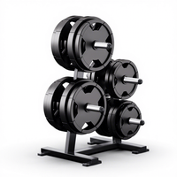 Équipement d'entraînement polyvalent pour tout le corps avec support de plaques de poids intégré pour les studios de gym