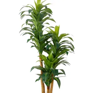 2024 baru kualitas tinggi tanaman buatan drakaena wewangian 3 tiang 3 kepala 137 daun 175cm bonsai tanaman hijau