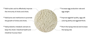 Nhà Sản Xuất Của Chất Lượng Tốt Nhất Động Vật Thức Ăn Phụ Gia Kinh Tế Vịt Premix Cho Lợn Gia Súc Tăng Trứng Sản Xuất Giá Tốt - Product Image 3