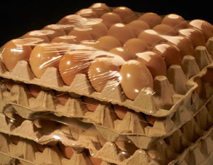 Film rétractable micro-perforé POF et sacs personnalisés avec logo, pour œufs et emballage extérieur - Product Image 6