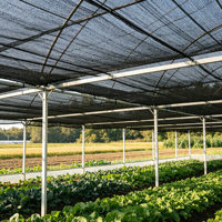 Zware HDPE geweven schaduwnetrollen, UV-gestabiliseerd, voor landbouw, kwekerijen, gewasbescherming en plantenafdekking.
