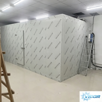 Chambre froide universelle préfabriquée pour ferme, congélation profonde personnalisée, maintien de la température, unité de condensation multi-tension, facile à utiliser, porte solaire
