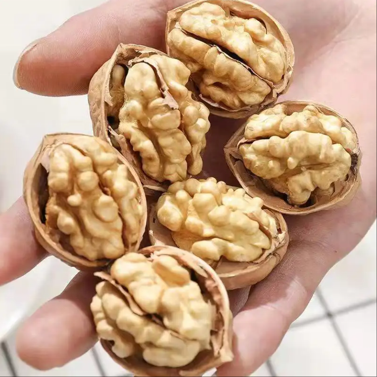 185 Original Delicious Paper Walnut Nut