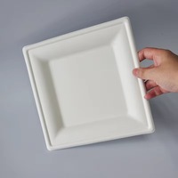 Assiettes jetables écologiques en bagasse de canne à sucre, carrées, grand format 10 pouces, extra résistantes, pour repas en famille et fêtes en extérieur