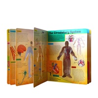 3 D öğrenmek insan vücudu tahta kitap ofset baskı özel boyut XY baskı kağıt ve karton sert kapak mükemmel ciltleme