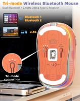 Kablosuz Çift Modlu Şeffaf Mouse Şarj Edilebilir 5 Tuşlu RGB Işıklı Optik Kablosuz Mouse USB Type C Sağ El İçin Masaüstü Mouse