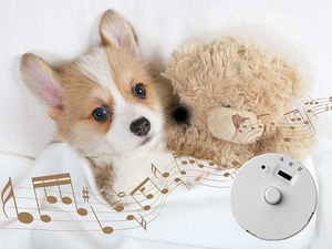 Hộp ghi âm mini có thể ghi âm để ghi âm nhà máy giọng nói tùy chỉnh thiết bị phát lại giọng nói cho đồ chơi nhồi bông - Product Image 6