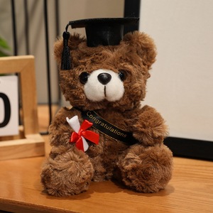 Vente en gros usine : Ours en peluche Teddy Rose personnalisé avec chapeau de docteur, Ours d'amour, Cadeau pour la remise des diplômes, l'anniversaire et les fêtes - Product Image 5