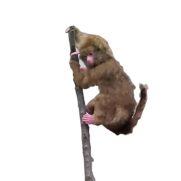 Simulation Animal Monkey Park Decoration Hang Tree Pendant Static Animal Saving The Moon Monkey Plush Stuffed Animal Monkey Toys