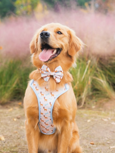 बड़े कुत्तों और बिल्लियों के लिए थोक अनुकूलित चिंतनशील प्रिंट प्रशिक्षण कॉलर पट्टा हार्नेस सेट - Product Image 3