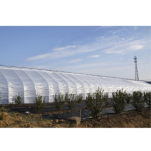 Fabricant vente chaude bâche en polyéthylène imperméable couverture agriculture <span class=keywords><strong>serre</strong></span> bâche - Product Image 2