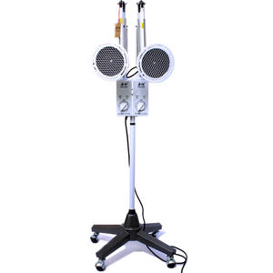 Lámpara de terapia TDP de doble cabezal Hualun CQJ-24, instrumento de fisioterapia por radiación de calor para equipos de rehabilitación de artritis - Product Image 1