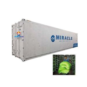 Máquina <span class=keywords><strong>de</strong></span> Cultivo Hidropónico <span class=keywords><strong>de</strong></span> Forraje <span class=keywords><strong>de</strong></span> <span class=keywords><strong>Pasto</strong></span>, <span class=keywords><strong>Semillas</strong></span> <span class=keywords><strong>de</strong></span> <span class=keywords><strong>Pasto</strong></span> <span class=keywords><strong>de</strong></span> Trigo <span class=keywords><strong>para</strong></span> Forraje - Product Image 2