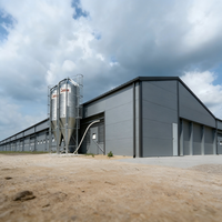 Poulailler économique moderne en structure acier, hangar préfabriqué pour bétail, élevage avicole à grande échelle, haute résistance, galvanisé à chaud