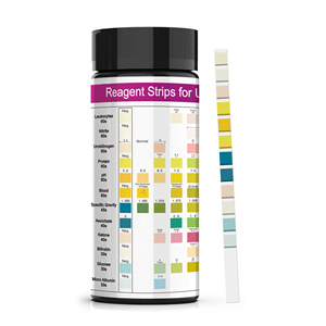 Bandelettes de test <span class=keywords><strong>urinaire</strong></span> HORYZON URS-12 12-en-1, réactif d'analyse d'urine pour microalbumine, leucocytes, glucose, usage domestique manuel en plastique, 100 unités - Product Image 2