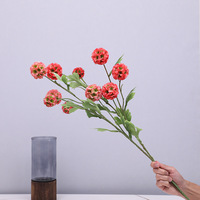 Fleur Graine CLH-517 Soie Artificielle Pampas Herbe 5 Tête Roue Table Hall Décoration À La Main Style Moderne Usine En Gros