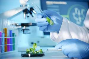 Services de test et d'inspection de <span class=keywords><strong>laboratoire</strong></span> tiers professionnels et indépendants pour l'évaluation de la toxicologie cosmétique - Product Image 2