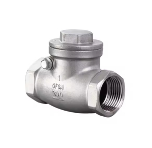 304 dây thép không gỉ khóa ngang kiểm tra van H14 nữ chủ đề kiểm tra van Swing kiểm tra van - Product Image 4