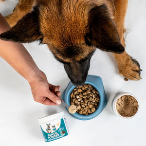 Fábrica de Suplementos <span class=keywords><strong>para</strong></span> Mascotas, OEM ODM, Polvo Limpiador Dental <span class=keywords><strong>para</strong></span> <span class=keywords><strong>Perros</strong></span>, <span class=keywords><strong>el</strong></span> <span class=keywords><strong>Mejor</strong></span> Eliminador de Placa <span class=keywords><strong>para</strong></span> <span class=keywords><strong>Perros</strong></span> de Todas las Razas - Product Image 3