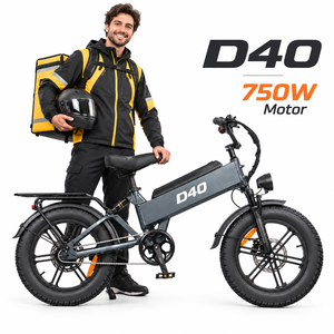 Bicicleta Eléctrica D40 al por Mayor, 750W, 48V40AH, 80N·m Torque 45 °   Climb Factory Personalizado - Product Image 1