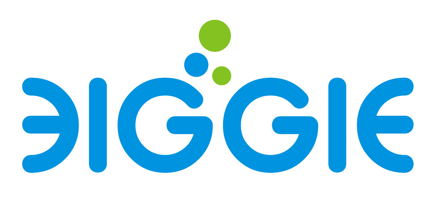 Taizhou Bige Cleaning Products Co., Ltd. logo