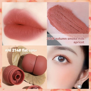 Mousse Velours <span class=keywords><strong>Bouche</strong></span> <span class=keywords><strong>Rouge</strong></span> Boue Étanche Mat Brillant À Lèvres Végétarien Cosmétiques Poudre Blush Lèvres Et Joues Couleur Boue - Product Image 4