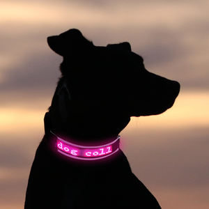 Venta al por mayor de fábrica, aplicación de control de teléfonos inteligentes, tecnología para mascotas, <span class=keywords><strong>collar</strong></span> luminoso para pasear al perro por la noche - Product Image 2