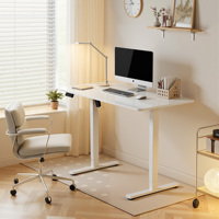 Meubles de bureau à domicile modernes, table réglable en hauteur, ergonomique, électrique, double moteur, pour ordinateur, étude, position assise et debout