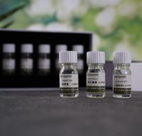 Diffuseur d'huiles essentielles au parfum de lavande personnalisable Bouteilles de diffuseur à roseaux écologiques Capacité de 5ml Ensemble d'échantillons gratuits Pet-Safe