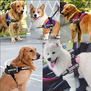 Harnais réfléchissant pour chien, gilet réglable avec sangle de poitrine et porte-étiquette d'identification pour la promenade en extérieur - Product Image 5