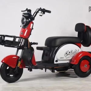 800/1000W Enclosed Electric Tricycle Three Wheel Closed Passenger Vehicle with 30km <b>Driving</b> Mileage EEC/DOT/GCC Certified - Product Image 5