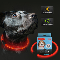 Mode LED collier de chien collier solide brillant nouveau collier de sécurité pour animaux de compagnie avec USB rechargeable Style simple en plastique
