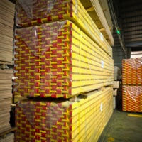 Poutre en bois H20 pour coffrage de construction, utilisée comme poutre de support d'étaiement étanche pour échafaudage