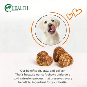 Voedingssupplementen voor huisdieren: Probiotische capsules voor honden & katten |   Voedingssupplement voor de spijsvertering en immuunondersteuning bij huisdieren - Product Image 3